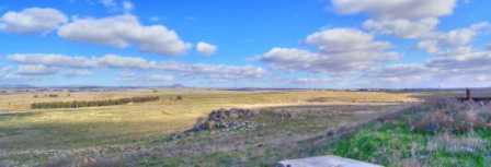 Bashan in the Golan Heights